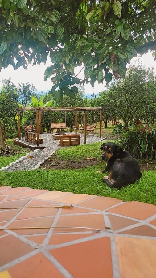 Finca Hotel La Bonita By La Macorina Quimbaya Eksteriør billede